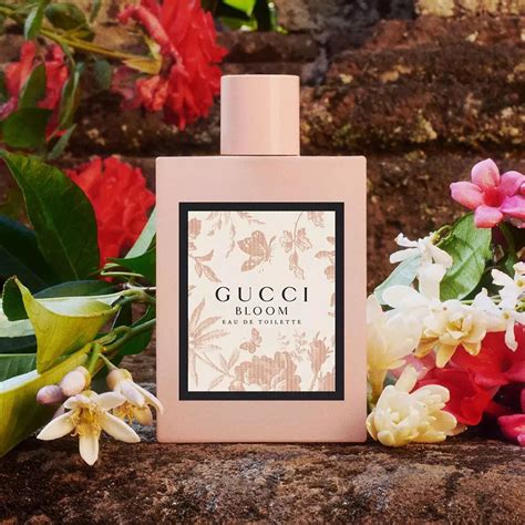 qvc gucci bloom|New Gucci Bloom Fragrance .